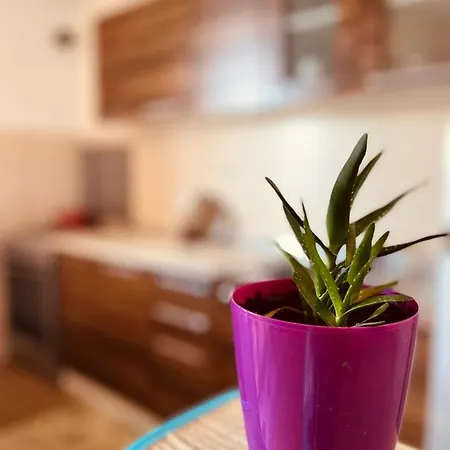 Apartament Cozy Near The Center Skopje